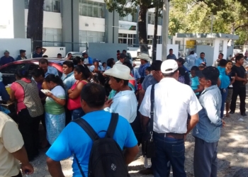 Campesinos piden la cabeza del representante del Sistema Producto Maíz