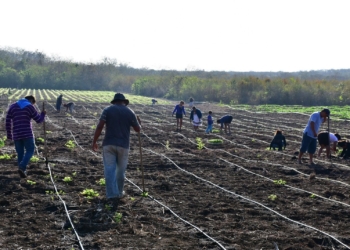 Asociación Civil lucha por hacer producir el campo morelense