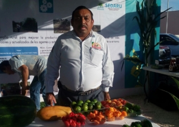Zona Maya lidera producción de chile en Quintana Roo