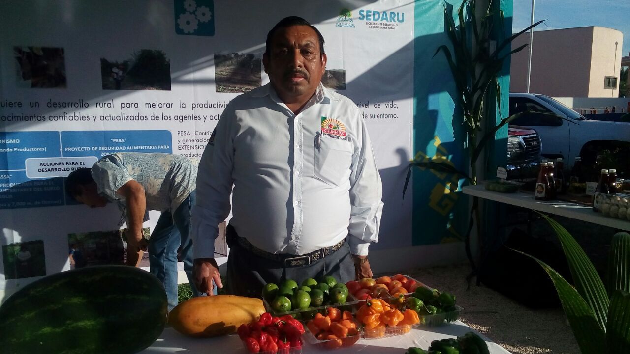 Zona Maya lidera producción de chile en Quintana Roo
