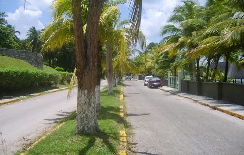 Vehículo vandalizado en Bacalar no pertenecía a funcionaria estatal