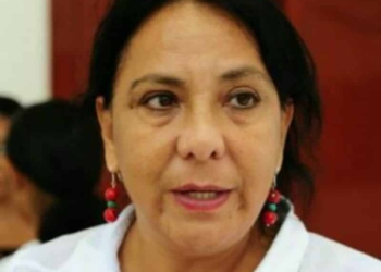 Exhorta SEMA a municipios trabajar minuciosamente en actualización del POEL