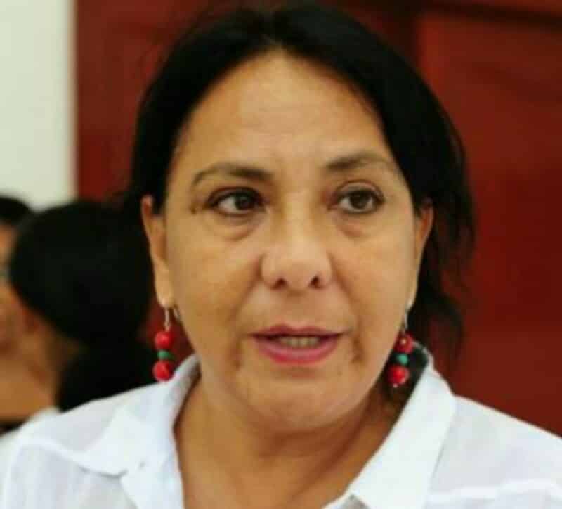 Exhorta SEMA a municipios trabajar minuciosamente en actualización del POEL