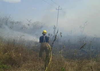 Bomberos  combaten incendio en Sacxan 
