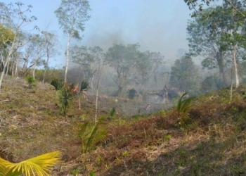 Emiten calendario de quemas para mermar incendios forestales