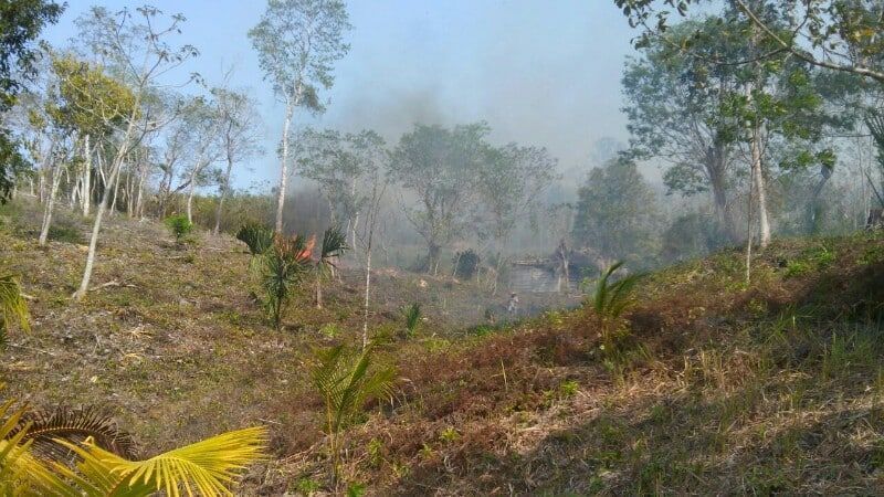 Emiten calendario de quemas para mermar incendios forestales