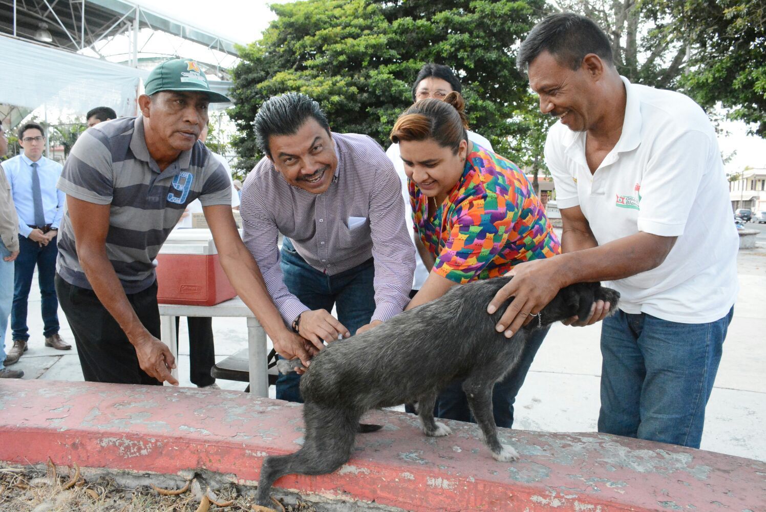 Arranca campaña de vacunación felina y canina en Chetumal