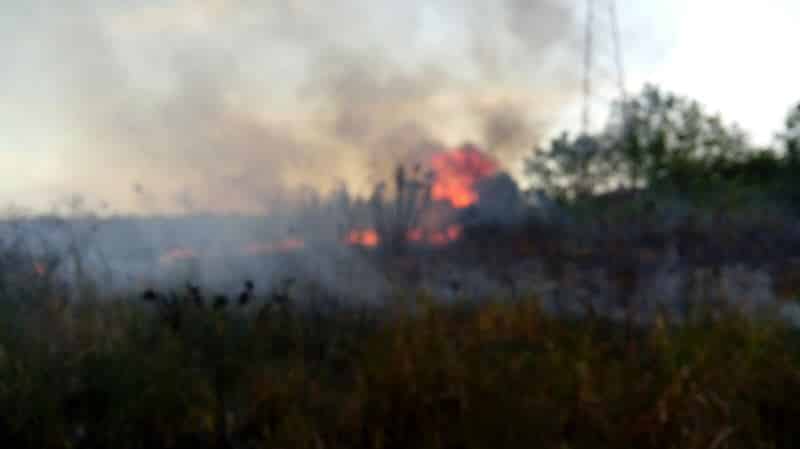 Incendios rodean chetumal