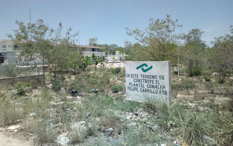 Invasores de colonia irregular se adueñan de terrenos del CONALEP