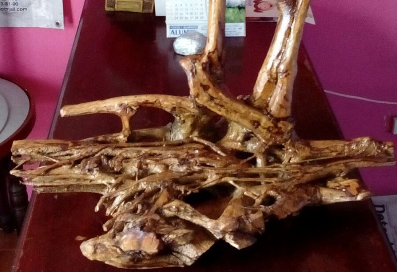 Concientizarán a carrilloportenses sobre el cuidado del planeta.