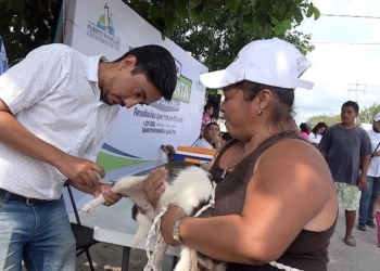 Fomenta gobierno de Puerto Morelos protección y bienestar animal