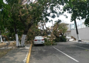Reportan vientos huracanados en Yucatán