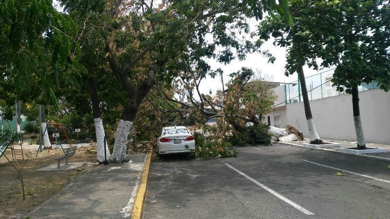 Reportan vientos huracanados en Yucatán
