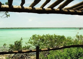 ¿Corredor turístico, una utopía para laguna Guerrero?
