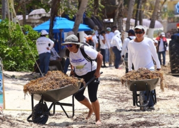 Refuerza Solidaridad limpieza del sargazo en playas públicas