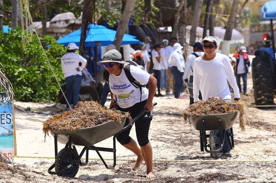 Refuerza Solidaridad limpieza del sargazo en playas públicas