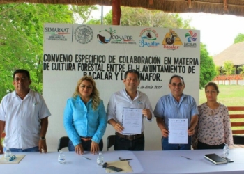 Promueve gobierno de Alexander Zetina la cultura forestal