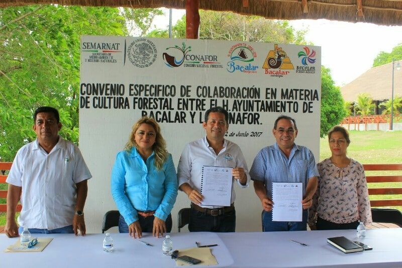 Promueve gobierno de Alexander Zetina la cultura forestal
