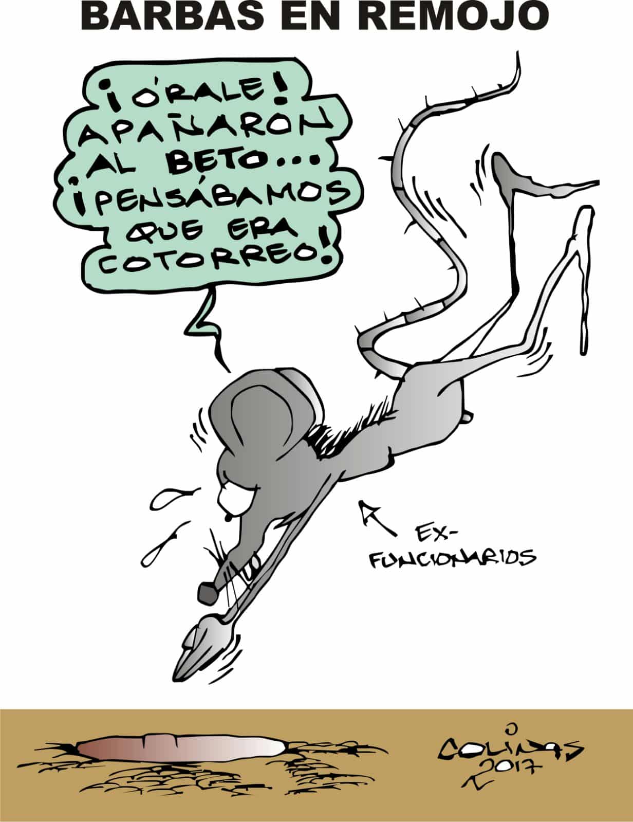 COLINAS: Barbas en remojo