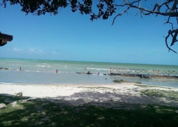 Bahía y Río Hondo con alta presencia de sustancias contaminantes