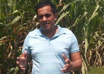 En breve pagará el ingenio azucarero a los productores de caña