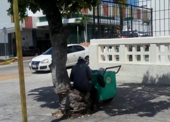 “Paleteros” al borde la extinción en Chetumal