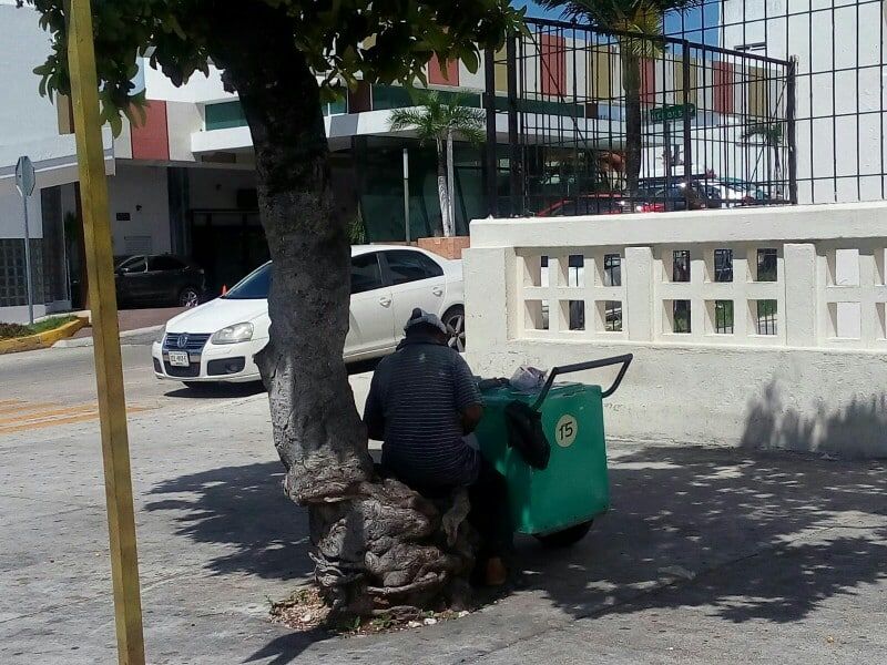 “Paleteros” al borde la extinción en Chetumal