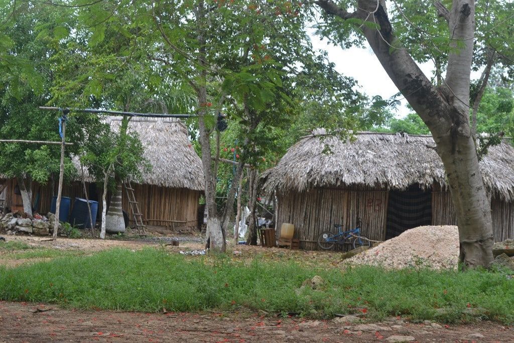 FCP sigue sufriendo del ataque de mosquitos; SESA dormida en sus laureles