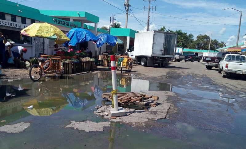 Locatarios del Mercado Nuevo, hartos de trabajar entre la podredumbre