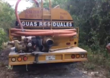 Empresario ecocida de Puerto Morelos atenta contra el medio ambiente