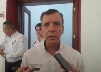 Menonitas pagarán caro por devastación de selva en Bacalar: PROFEPA