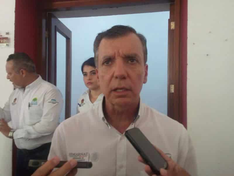 Menonitas pagarán caro por devastación de selva en Bacalar: PROFEPA