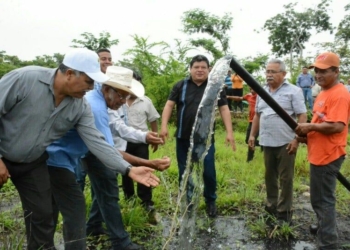 Fortalece Luis Torres al sector agropecuario de Othón P. Blanco