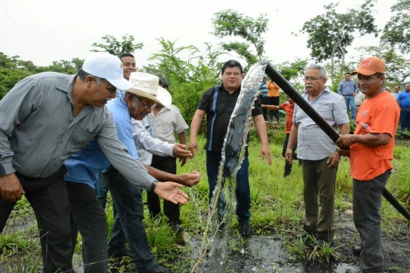 Fortalece Luis Torres al sector agropecuario de Othón P. Blanco