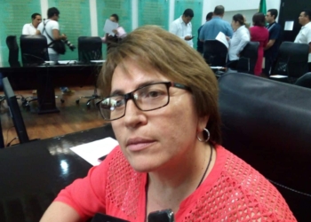 Diputada pide a SESA intensificar campañas de combate a los moscos