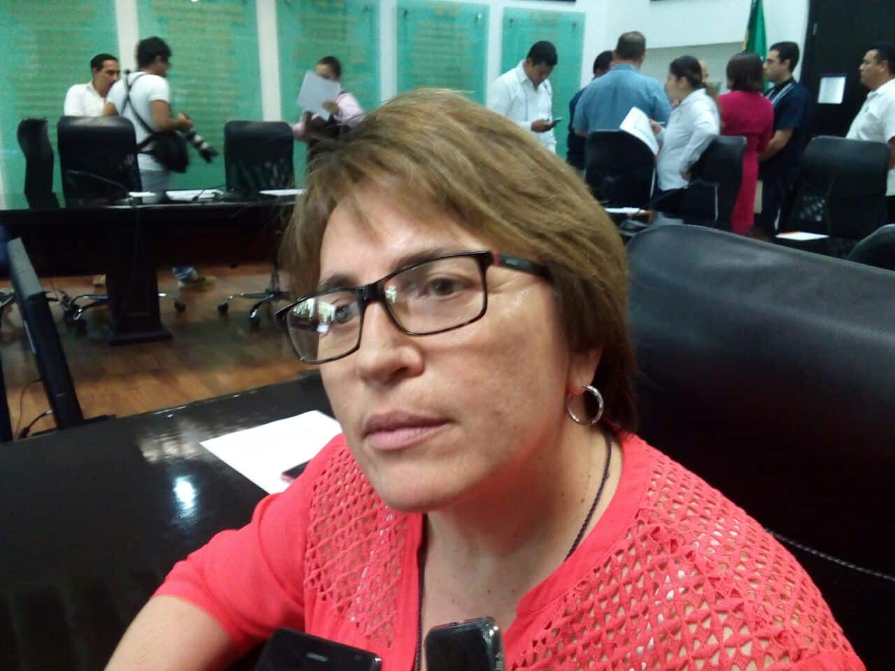 Diputada pide a SESA intensificar campañas de combate a los moscos