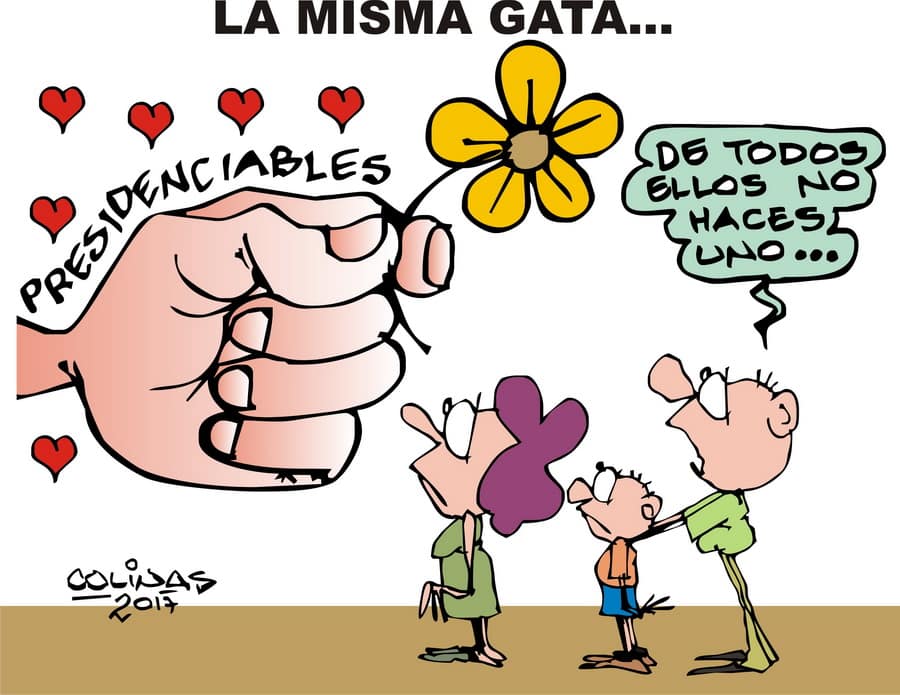 COLINAS: La misma gata