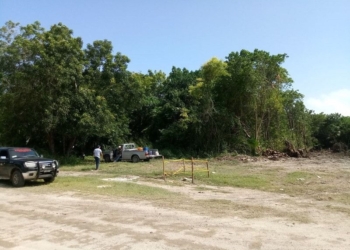 Atrae PROFEPA arbitrario desmonte de empresa «Constroktor»