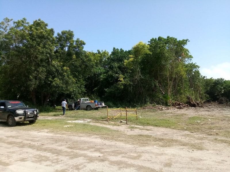 Atrae PROFEPA arbitrario desmonte de empresa «Constroktor»