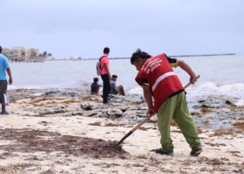Refuerzan limpieza de sargazo y retiro de basura en Solidaridad