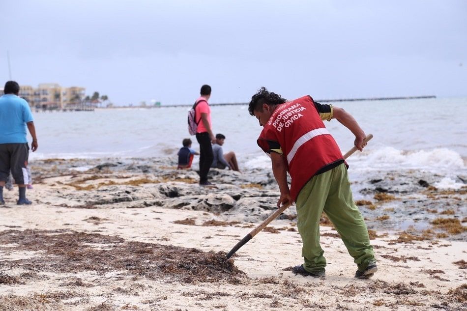 Refuerzan limpieza de sargazo y retiro de basura en Solidaridad