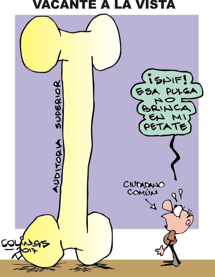 COLINAS: Vacante a la vista