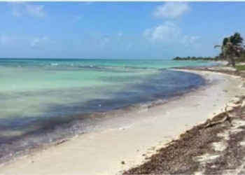 Mahahual se convierte en punto de trasiego de drogas; preocupación de empresarios