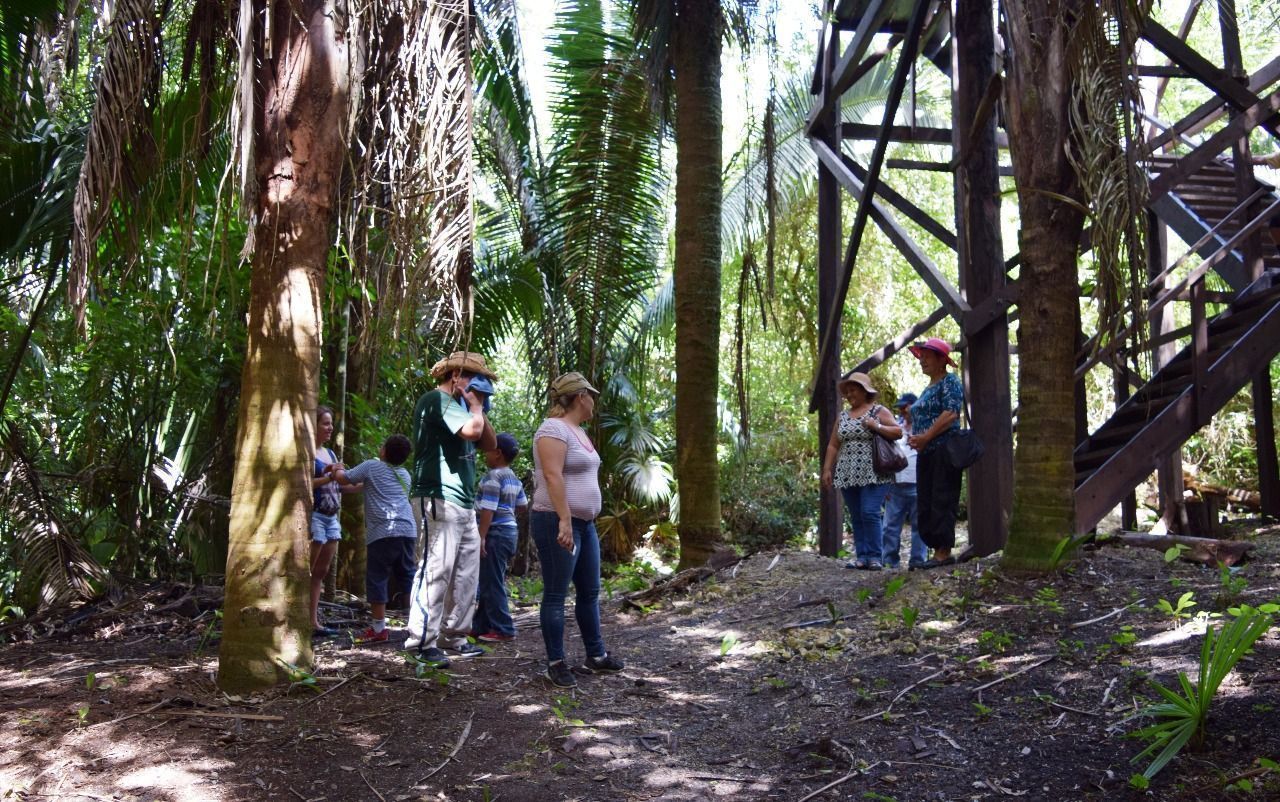 Promueven respeto al entorno ecológico de Bacalar y Quintana Roo