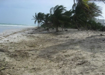 Tour operadores denuncian abandono de la zona costera de Mahahual