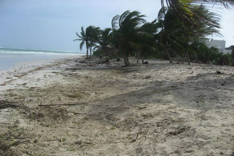 Tour operadores denuncian abandono de la zona costera de Mahahual