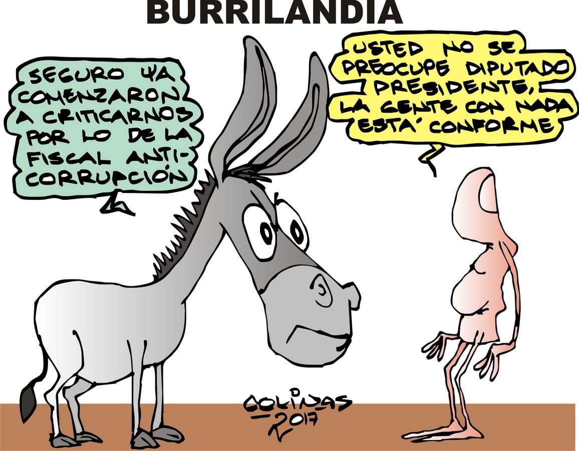 COLINAS: Burrilandia