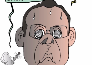 COLINAS: El Nuevo Auditor