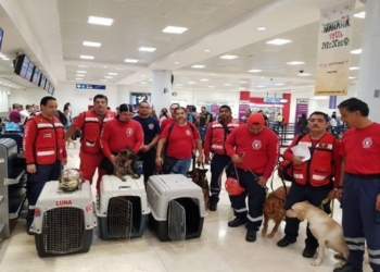 Topos bomberos de Cancún se lanzan al rescate de víctimas en la Ciudad de México