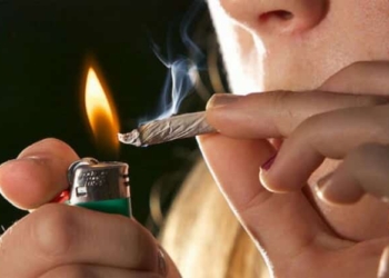 Se agudiza el consumo de marihuana en la zona sur de Quintana Roo